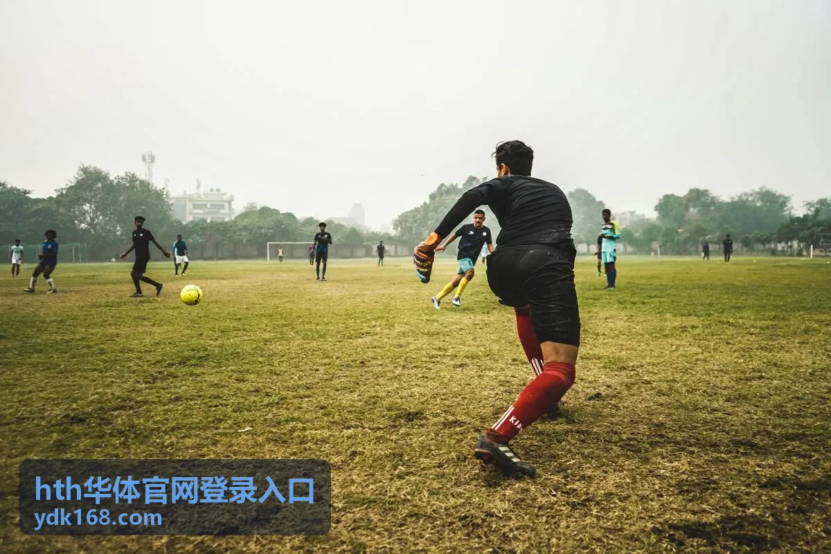 移动端访问hth华体官网登录入口平台方案说明